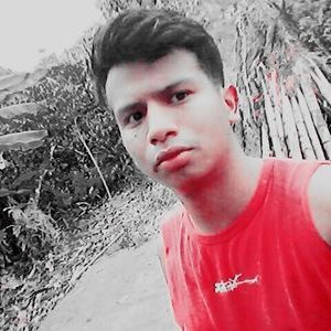 Profile Picture of Alex Coello S. (@alexcoello181) on Twitter