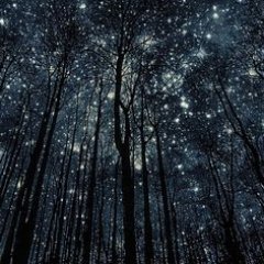 Profile Picture of Natalie Grace (@MelodyGraceHarp) on Twitter