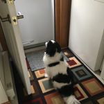 Profile Picture of Doris Nichols (@dorisn37) on Instagram