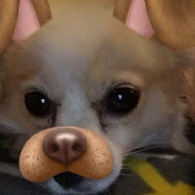 Profile Picture of Lacy Ludwig (@lacy_ludwig23) on Twitter