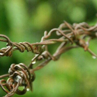 Profile Picture of Michael Gimeno (@MichaelGimeno) on Twitter