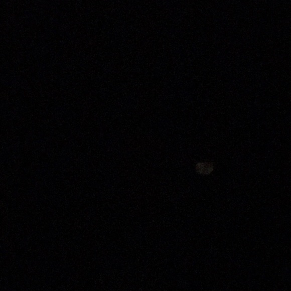 Profile Picture of Brianna Marrone (@bbrose647) on Poshmark