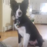 Profile Picture of Will Mitchell (@will_mitchell25) on Instagram