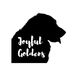 Profile Photo of Joyful Goldens (@JoyfulGoldens) on Pinterest