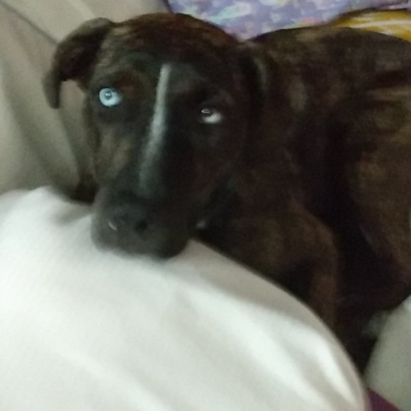 Leighlee Sherer - Poshmark Profile Picture of Leighlee Sherer (@whowhobeeg) on Poshmark