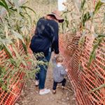 Profile Picture of Jillian Cornfield (@jil_cornfield) on Instagram