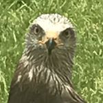 Profile Picture of Matthew_tweed (@matthew_tweed) on Instagram