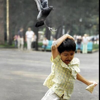 Hugo Robles - Twitter Profile Picture of Hugo Robles (@hugorobles) on Twitter