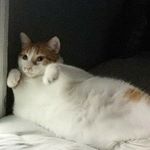Profile Picture of Je m'appelle Jeff (@spookloops) on Instagram