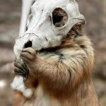 Profile Picture of Carson Yoder (@carsonyoder) on Instagram