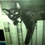 Profile Picture of Katherine Brogan (@5961jonathan) on Instagram