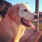 Profile Picture of Luke Carnevalli Miranda Prado (@luke_sky_auaulker) on Instagram