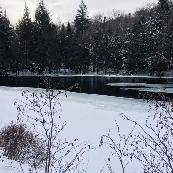 Profile Picture of Dolorès Imonti (@d_imonti) on Poshmark