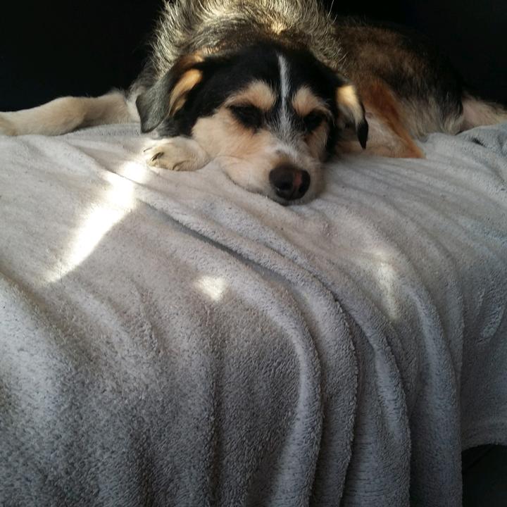 Profile Picture of compte secouée louna (@daviddewitte) on Tiktok