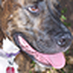 Profile Picture of Doctor K8 (@doctor k8) on Flickr