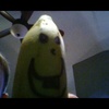 Profile Picture of jojocreeps (@@josephcoady) on Tiktok