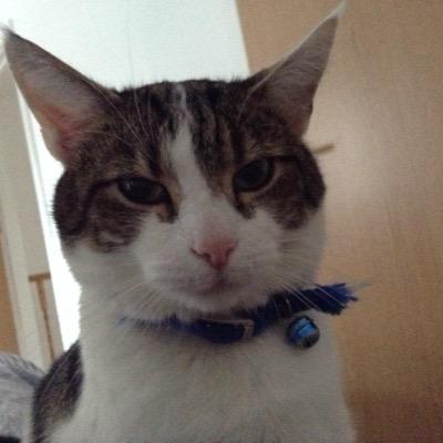 Profile Picture of Alan Goodfellow (@GoodfellowAlan) on Twitter