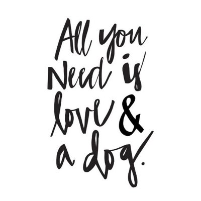 Profile Picture of Haley Graves Rescue (@haley_rescue) on Twitter