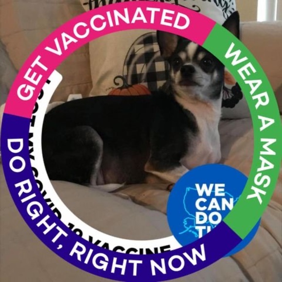 Profile Picture of Cynthia Burel (@cindyburel) on Poshmark