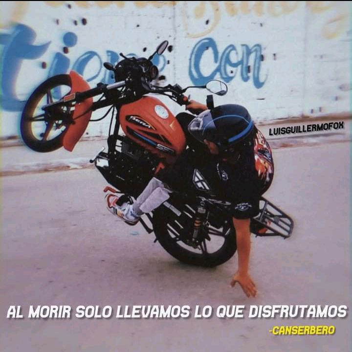 Profile Picture of Danny Collazo (@dannyalfonz) on Tiktok