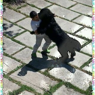 Profile Picture of Mario Caniglia (@mario.caniglia2) on Facebook