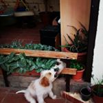 Profile Picture of David Fuster Bellmunt (@337david2007) on Instagram