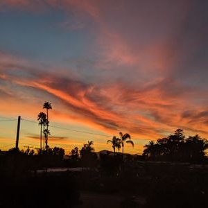 Profile Picture of Helix Skies (david) (@DavidRi25860212) on Twitter