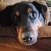 Profile Picture of Thomas Fraker (@thomas.fraker.7) on Facebook