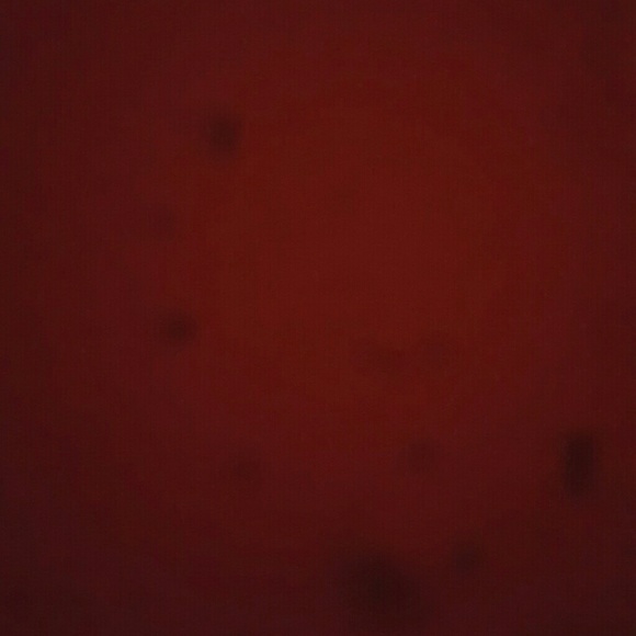 Profile Picture of Mathew Schelsteder (@schelsteser) on Poshmark