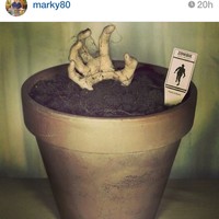 Profile Picture of Geoffrey Hammond (@geoffrey-hammond-1) on Quora