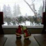 Profile Picture of Samuel Chantal (@chantalsamuel) on Instagram