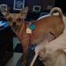 Profile Picture of Kimberly Fancher (@kimberly.fancher.3) on Facebook