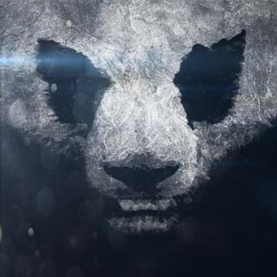 Profile Picture of DaVe / Xsaw (@DavidYassinKass) on Twitter