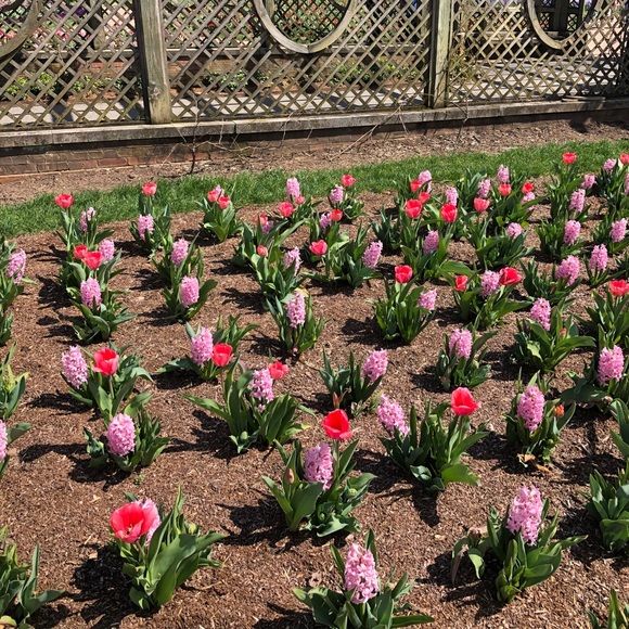 Profile Picture of Stefanie Matthews (@stefbenn) on Poshmark