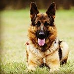 Profile Picture of alex23_03 (@nesteruk.alex) on Instagram