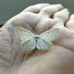 Profile Picture of Sudsiri Pui-Ock (@nim_sudsiri) on Instagram