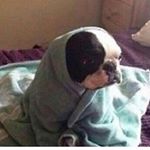 Profile Picture of Kurt (@kurt_bastiaansen) on Instagram