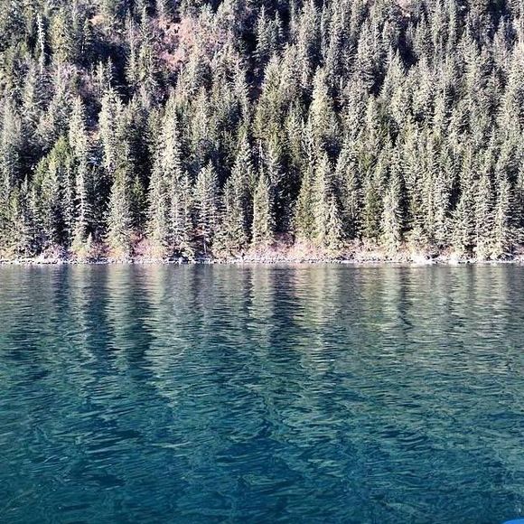 Profile Picture of David Grigsby (@dvdgrigsby) on Poshmark