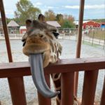 Profile Picture of Kevin Spaugh (@kevin.spaugh) on Instagram