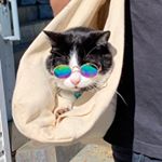 Profile Picture of Darryl Peters (@itsdarrylpeters) on Instagram