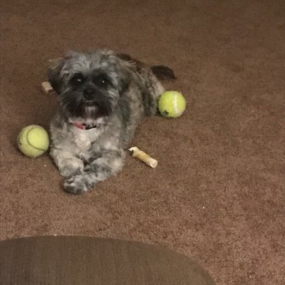 Profile Picture of Catherine Tyler (@Catheri62681478) on Twitter
