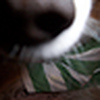 Profile Picture of mariel (@Mariel EOH) on Flickr