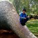 Profile Picture of David Silva (@davidsilva1067) on Pinterest