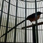 Profile Picture of Anna Halim (@kaisarburungmedan) on Instagram