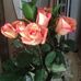 Profile Picture of Donna Godell (@donna.godell.3) on Facebook