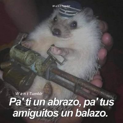 Profile Picture of Saint Harold (@SaintHarold9) on Twitter