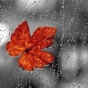 Profile Picture of Adam Hoang (@AdamHoa38202111) on Twitter