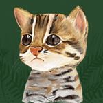 Profile Picture of 簡V的畫盒 drawing box illustration (@wenchichienillustration) on Instagram