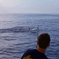 Profile Picture of Sean Bowers (@sean-bowers-11) on Quora