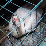 Eric Dizon - Youtube Profile Picture of Eric Dizon (@EricDizonn) on Youtube